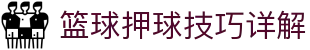 玩球中国官网入口：足球资讯、即时比分与赔率观察平台